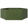 SteelGreen