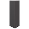SteelBlack