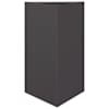 SteelBlack