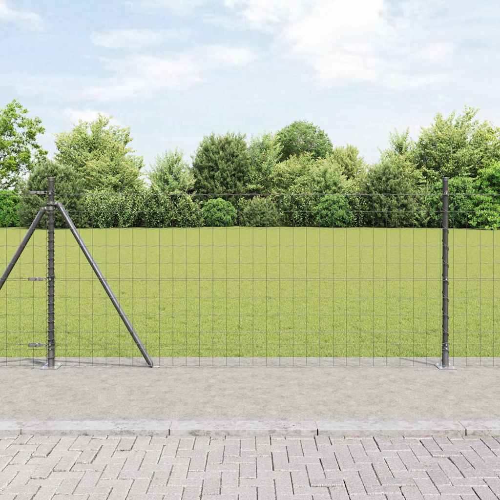 Euro Hegn med 7 Flanger Post 1x10 m Galvaniseret Stål