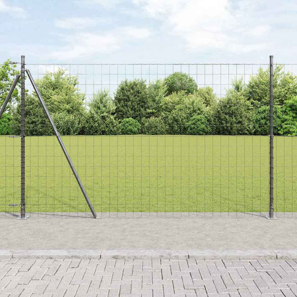 Euro Hegn med 7 Flangerede Poster 1,6x10 m Galvaniseret Stål
