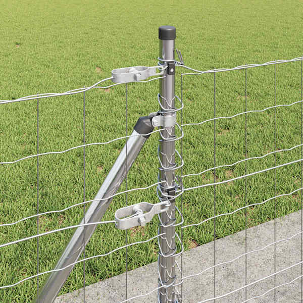 Toote pisipilt  5 / 17