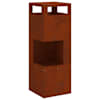 Weathering_steelbrown
