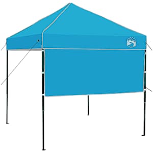 vidaXL Katuse telk 194 x 194 x 251 cm Sinine kangas
