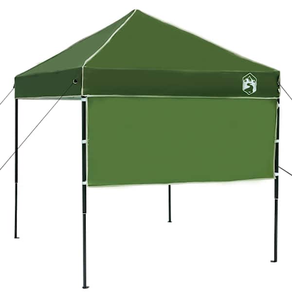 vidaXL Katuse telk 194 x 194 x 251 cm Roheline kangas