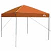 vidaXL Katuse telk 243 x 243 x 251 cm Oranž kangas