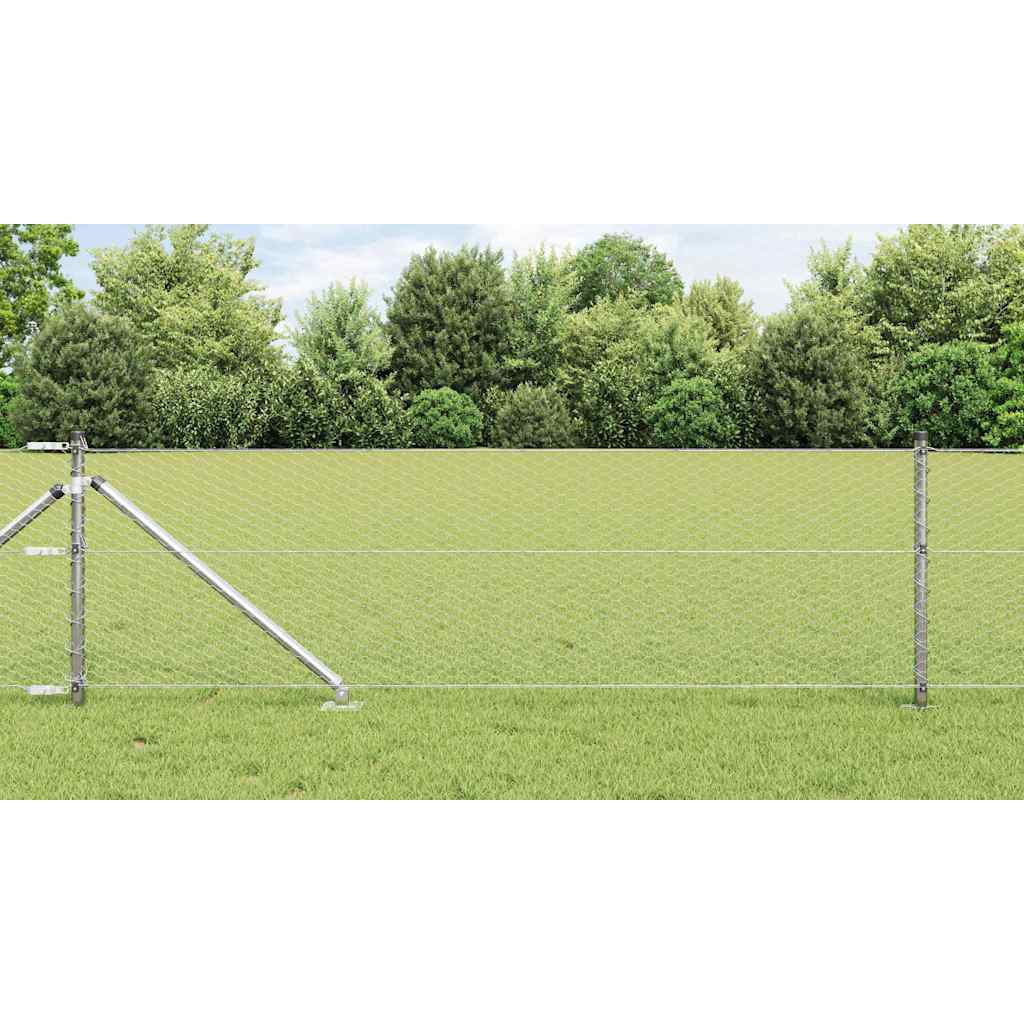 Hexagonhegn 0.6x50 m Galvaniseret stål, vidaXL Hegnspidser med spids 13 stk Ø32 mm 80 cm Galvaniseret stål
