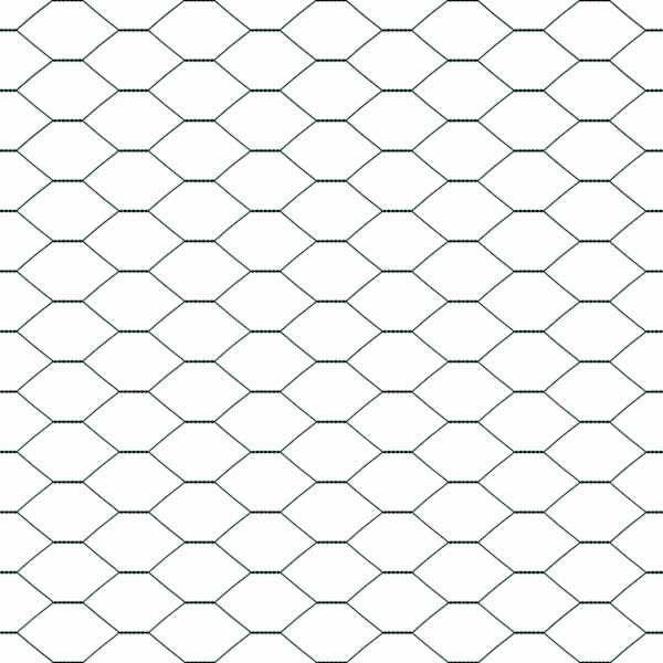 Toote pisipilt  11 / 17