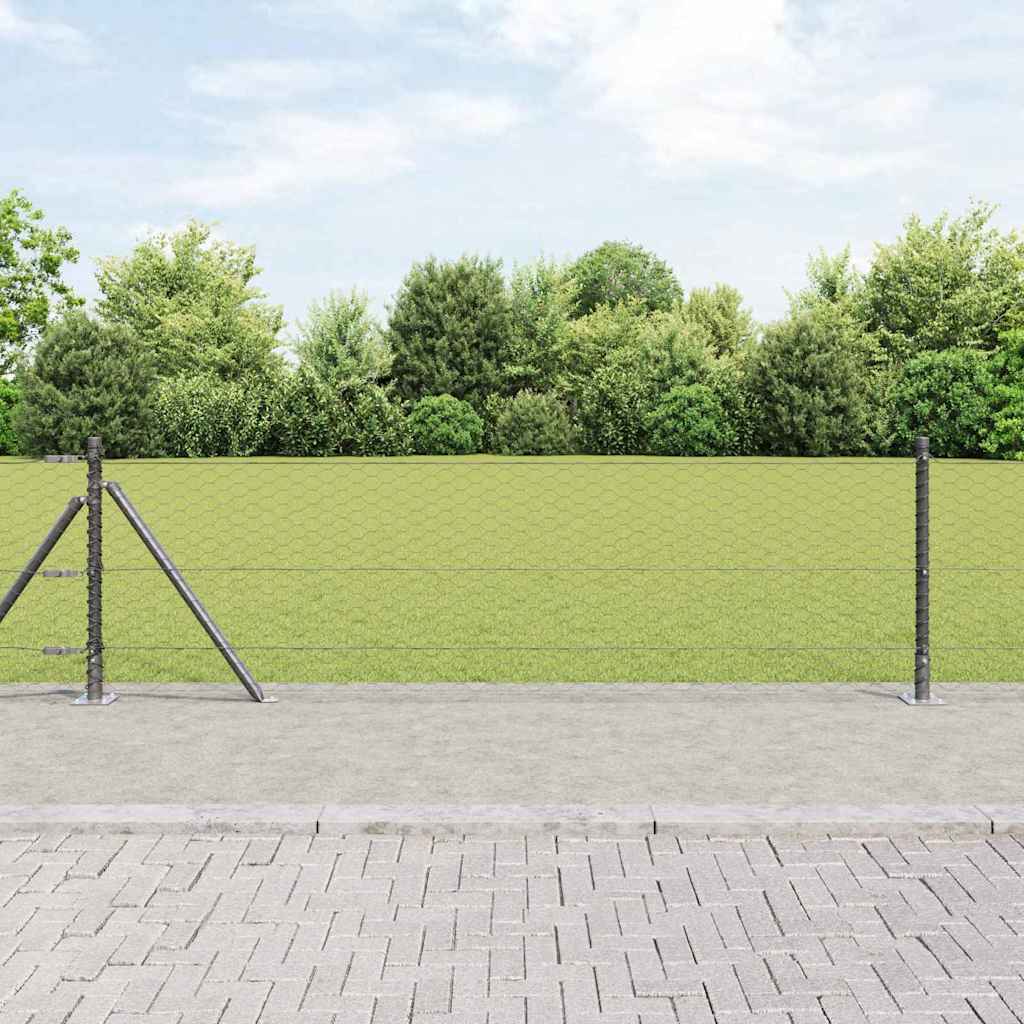 Hexagon Hegn Grå 0.6x10 m Stål