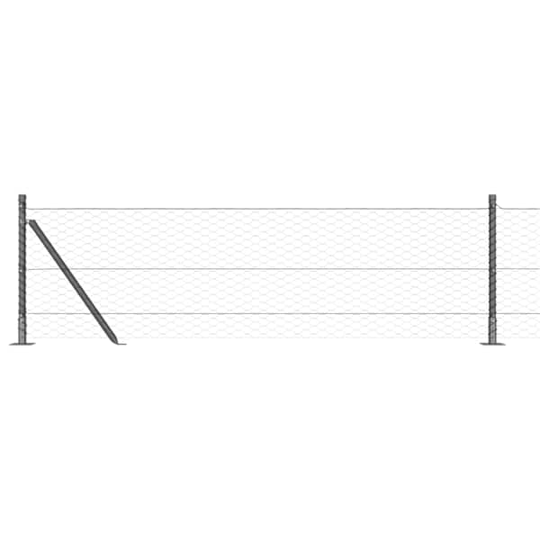 Toote pisipilt  8 / 17
