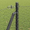 Toote pisipilt  5 / 17
