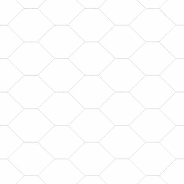Toote pisipilt  11 / 17
