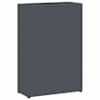 vidaXL Vihm Varjupaik Antratsiit 28 x 12 x 41 cm Teras
