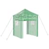 vidaXL Kasvuhoone koos pop-up raami Roheline 200 x 200 x 300 cm Raud