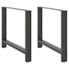 vidaXL s&ouml;&ouml;gilaua jalad, antratsiithall, 2 tk, 90 x (72&ndash;73) cm, teras