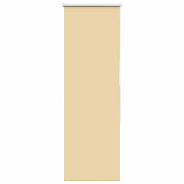 vidaXL pimendav ruloo Beež 60x150 cm kanga laius 55,7 cm pol&uuml;ester