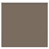 vidaXL pimendav ruloo coffee 145x150 cm kanga laius 141,6 cm pol&uuml;ester