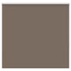 vidaXL pimendav ruloo coffee 160x150 cm kanga laius 156,6 cm pol&uuml;ester