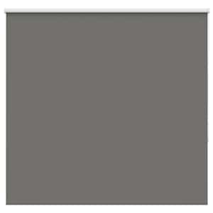 vidaXL pimendav ruloo hall 150x130 cm kanga laius 146,6 cm pol&uuml;ester