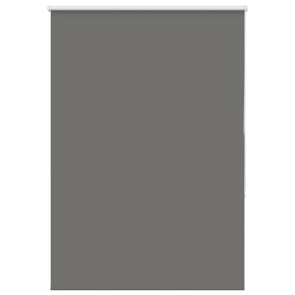 vidaXL Ruloo pimendav hall 110x150 cm Kanga laius 105,7 cm pol&uuml;ester