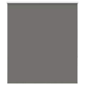 vidaXL pimendav ruloo hall 120x150 cm kanga laius 116,6 cm pol&uuml;ester