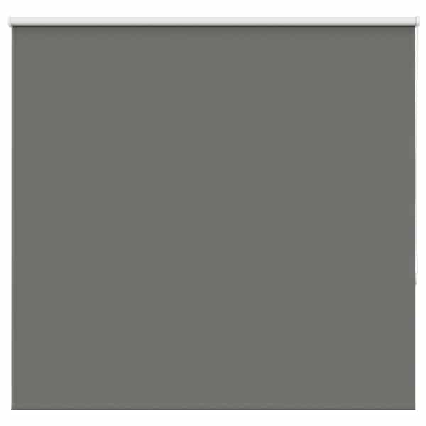 vidaXL pimendav ruloo hall 150x150 cm kanga laius 146,6 cm pol&uuml;ester