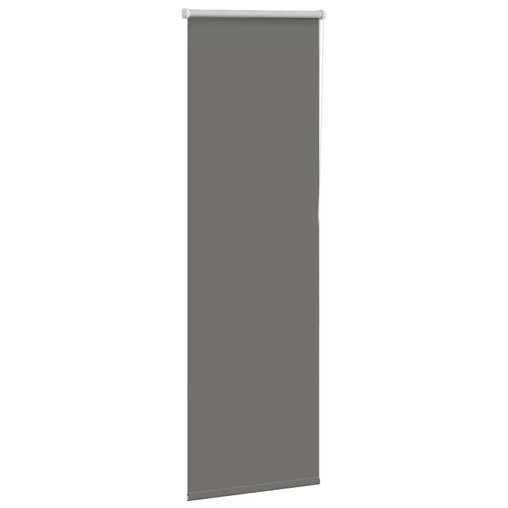 vidaXL Roleta Zatemnenie sivá 60x175 cm Šírka látky 55,7cm Polyester