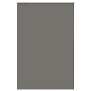 vidaXL pimendav ruloo hall 150x210 cm kanga laius 146,6 cm pol&uuml;ester