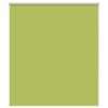 Leaves_green