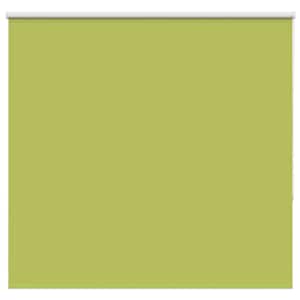vidaXL pimendav ruloo lehed rohelised 145x150 cm kanga laius 141,6 cm