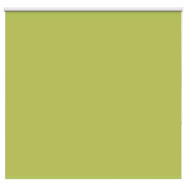 vidaXL pimendav ruloo lehed rohelised 145x150 cm kanga laius 141,6 cm