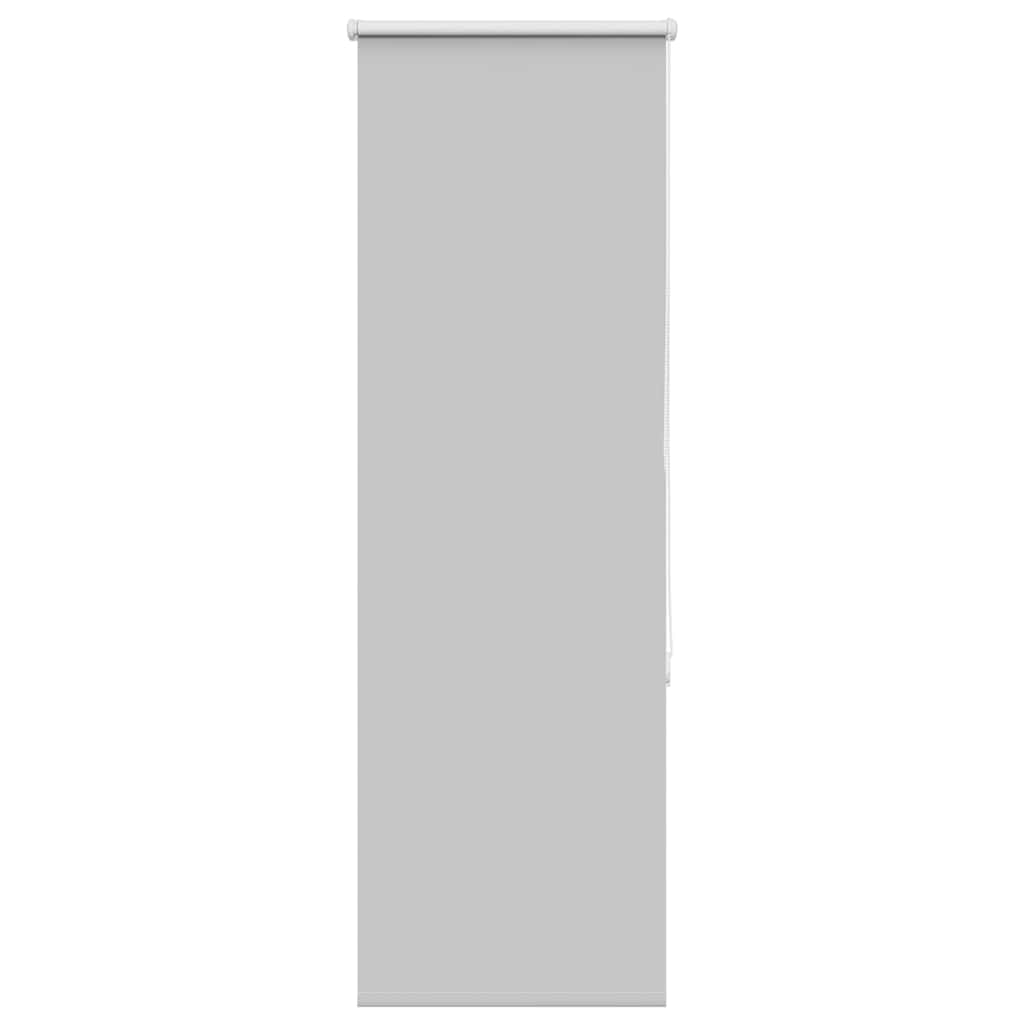 vidaXL Verdunkelungsrollo Hellgrau 55x130 cm Stoffbreite 50,7 cm