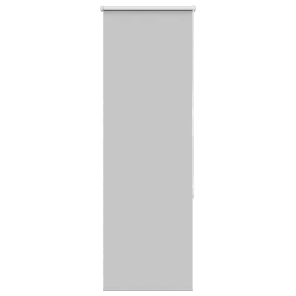 vidaXL Verdunkelungsrollo Hellgrau 55x150 cm Stoffbreite 50,7 cm