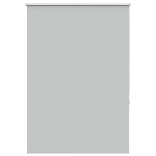 vidaXL Ruloo pimendav helehall 110x150 cm Kanga laius 105,7 cm