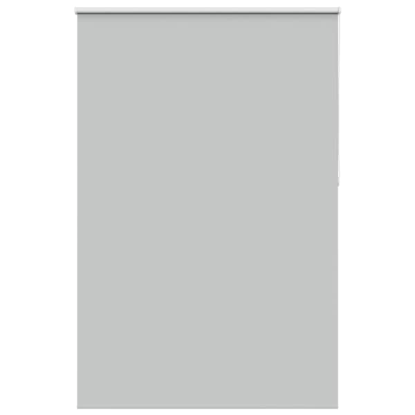 vidaXL pimendav ruloo helehall 165x230 cm kanga laius 161,6 cm