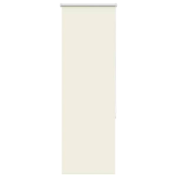 vidaXL pimendav ruloo koltunud valge 60x130 cm kanga laius 55,7 cm