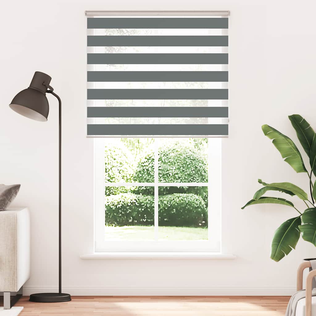 vidaXL Zebra rolgordijn 120x230 cm stofbreedte 115,9 cm donkergrijs afbeelding
