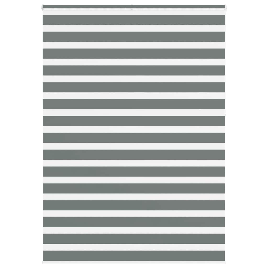 vidaXL Zebra roleta tmavě šedá 165x230cm šířka látky 160,9cm polyester