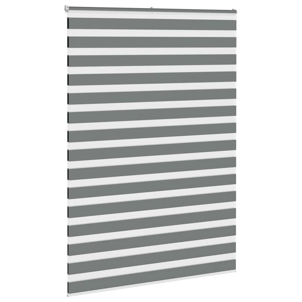 vidaXL Zebra rolgordijn 165x230 cm stofbreedte 160,9 cm donkergrijs grijs, foto 2