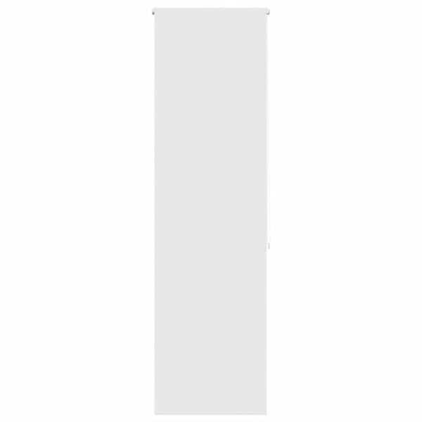 vidaXL du&scaron;irull ruloo 60x240 cm kanga laius 56 cm