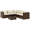 Brown_and_cream