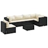 Black_and_cream