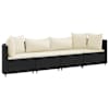 Black_and_cream