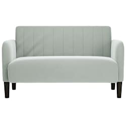 vidaXL Zweisitzer-Sofa Hellgrau 109 cm Samt