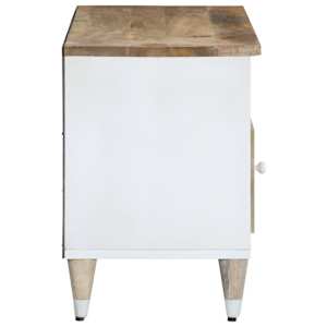 TV skříňka 100x33,5x46 cm masivní mangovníkové dřevo - obrázek 4