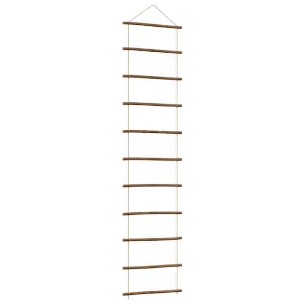 vidaXL seinakaunistused redeli kujuline, 50x200 cm, looduslik haru
