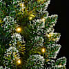 Toote pisipilt  8 / 12