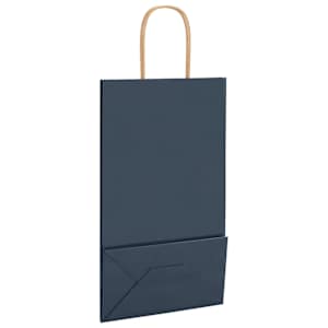 Papírové tašky 250 ks s uchy Modrá 21x11x36 cm - obrázek 9