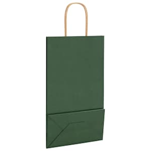 Papírové tašky 50 ks s uchy zelené 21x11x36 cm - obrázek 9