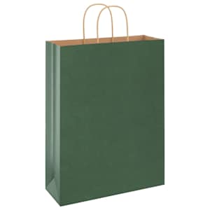 Papírové tašky 250 ks s uchy zelené 32x12x42 cm - obrázek 4